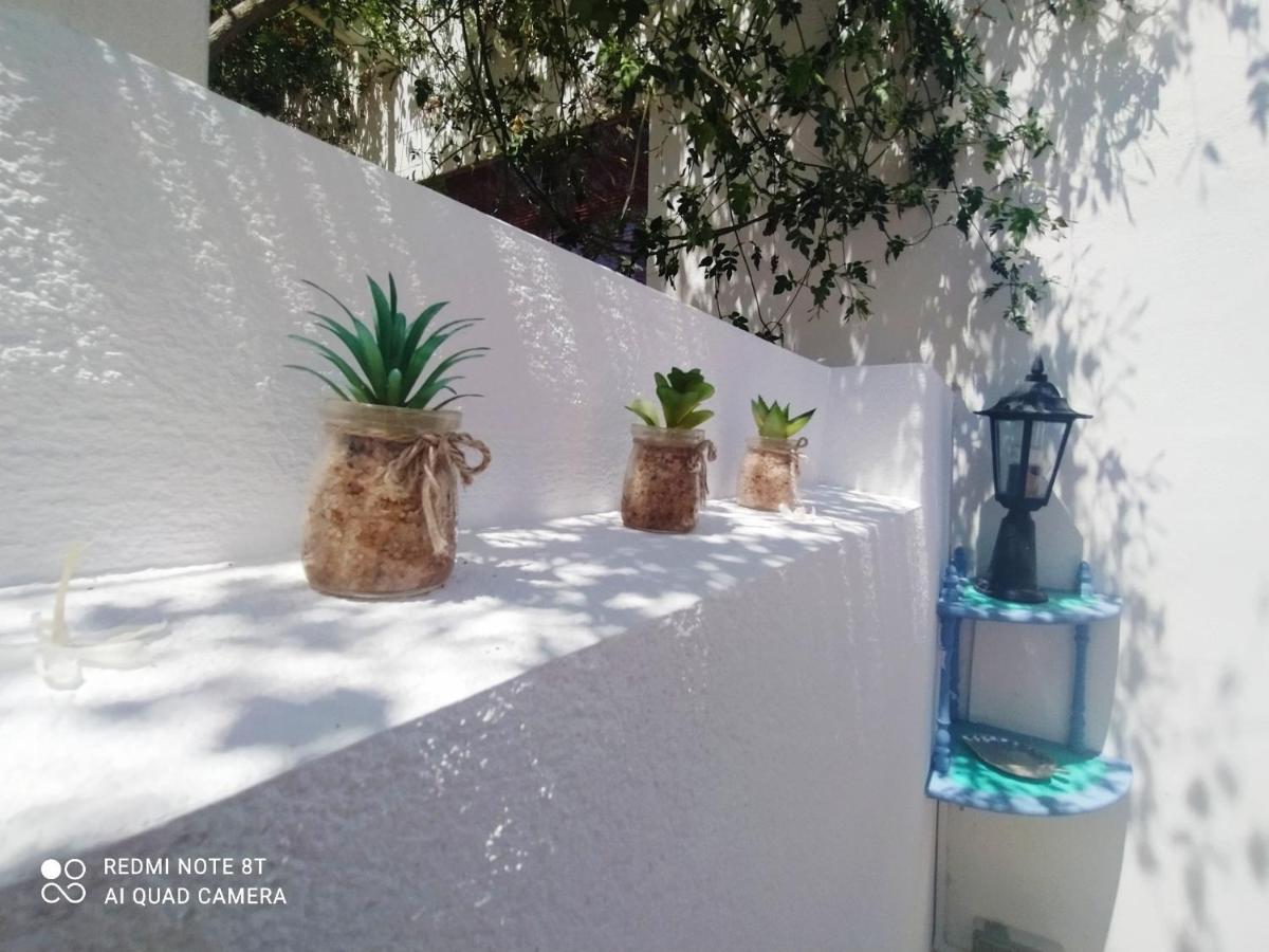 El Patio Leilighet El Campello Eksteriør bilde